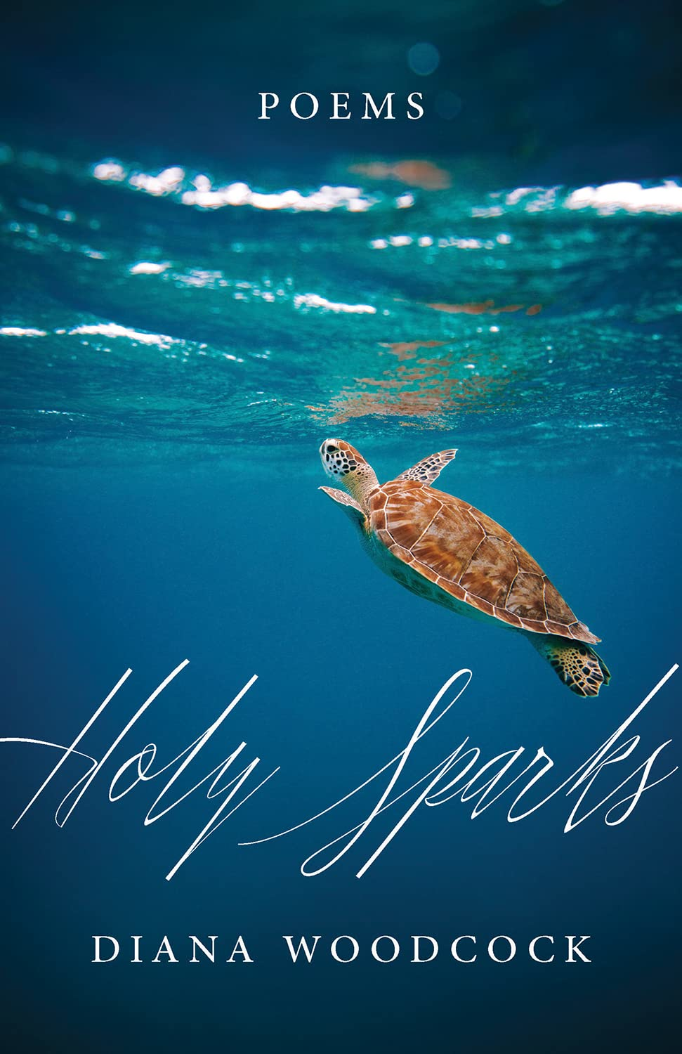 Book cover of HOLY SPARKS by Dr. Diana Woodcock features an atmospheric cloudlike sunset.